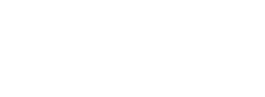logo-sifef